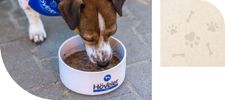 hoeveler dog mash innovationspreis